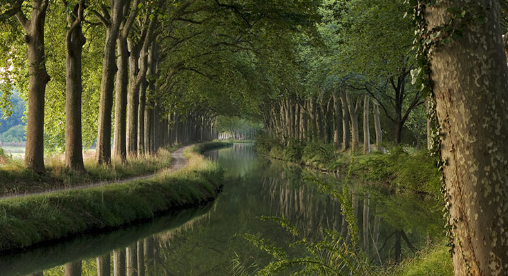 Balade au bord du Canal du Midi