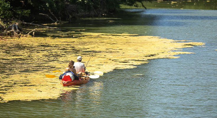 Canoë Kayak sur le Vidourle dans le Gard