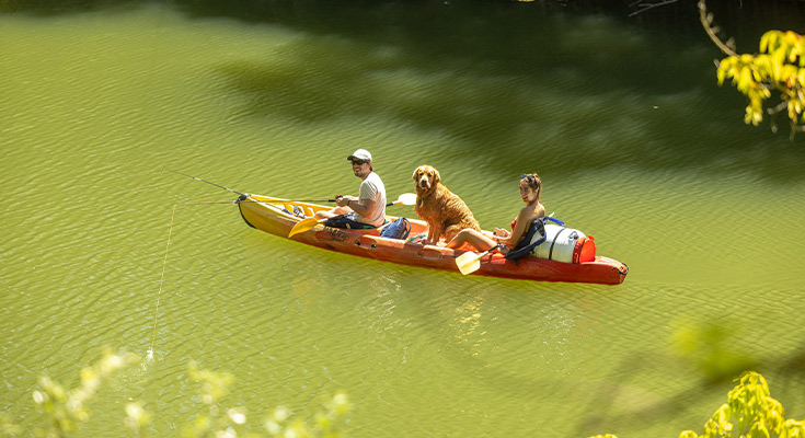 Balalde en Kayak dans le vidourle