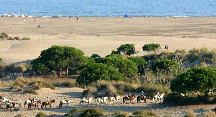 Balade à cheval sur la plage en Camargue