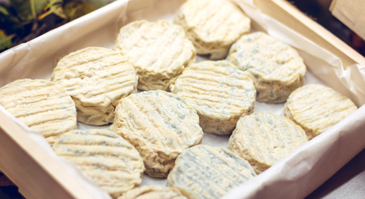 Le pélardon fromage typique du Gard à déguster avec un verre de vin