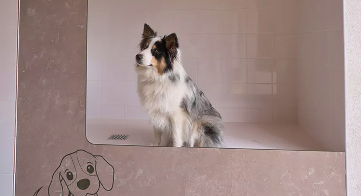 Douches pour chien au camping du Domaine de Massereau