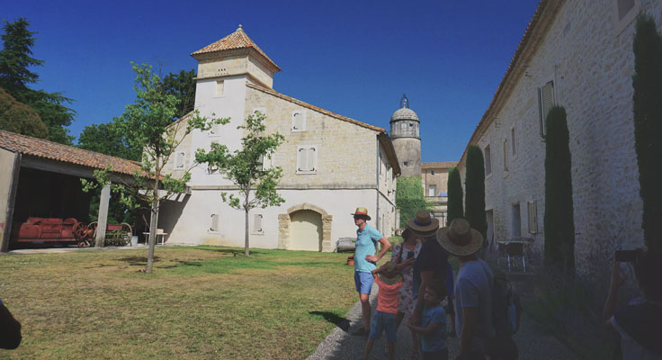 Visite en groupe ou privée du Domaine viticole de Massereau dans le Gard