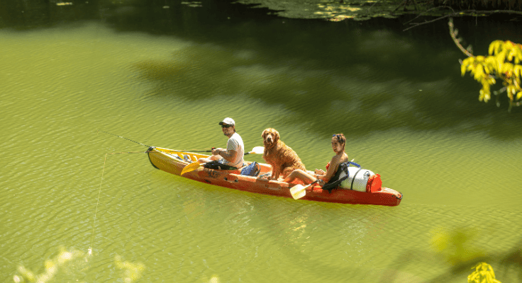 activité alentours canoe camping Domaine de Massereau